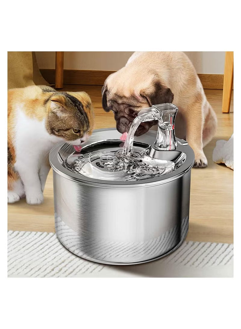 Feeding & Watering
