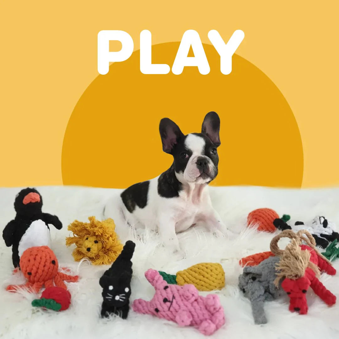 Toys & Play